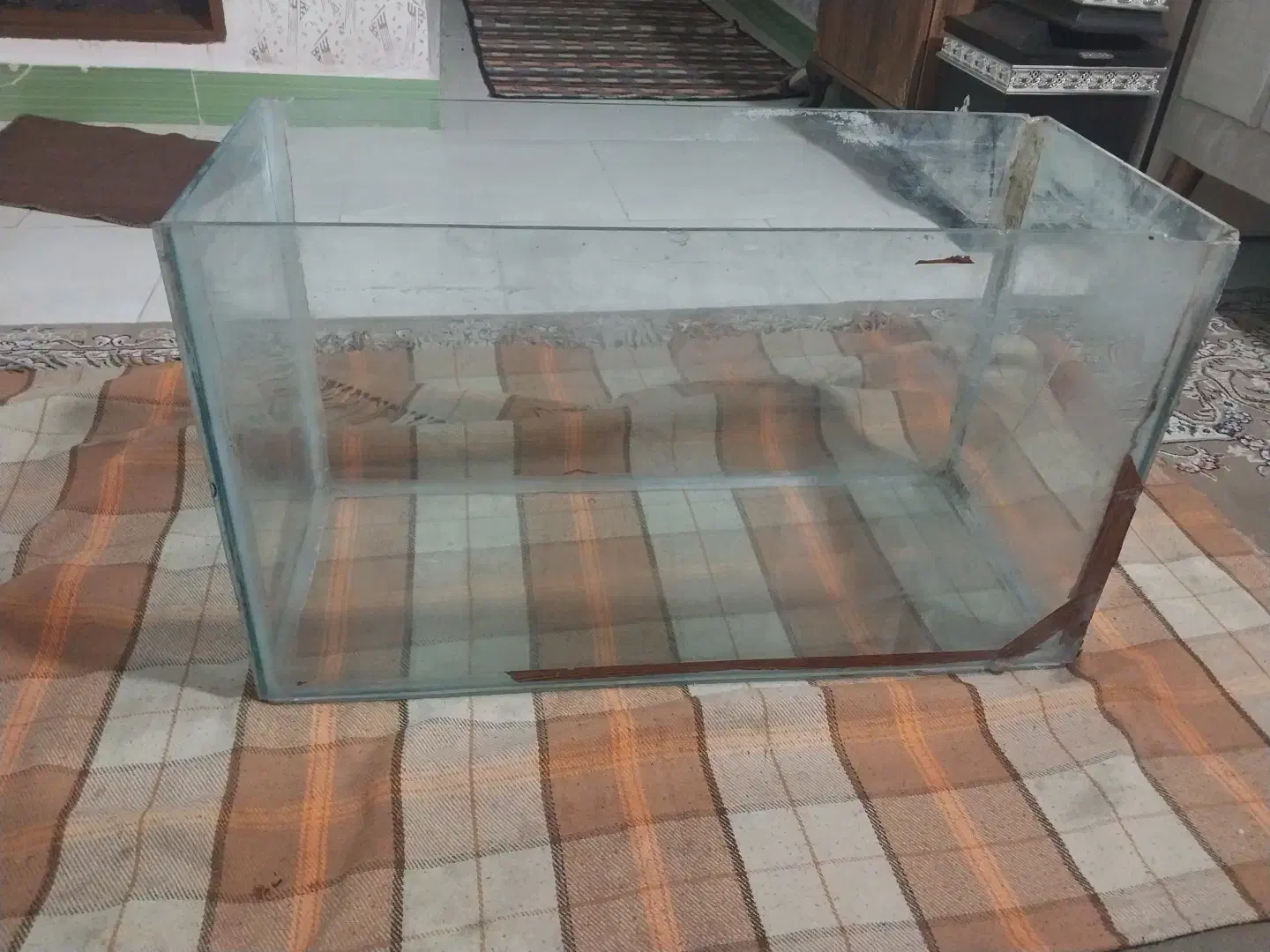 آکواریوم|ماهی|شاهرود, |دیوار