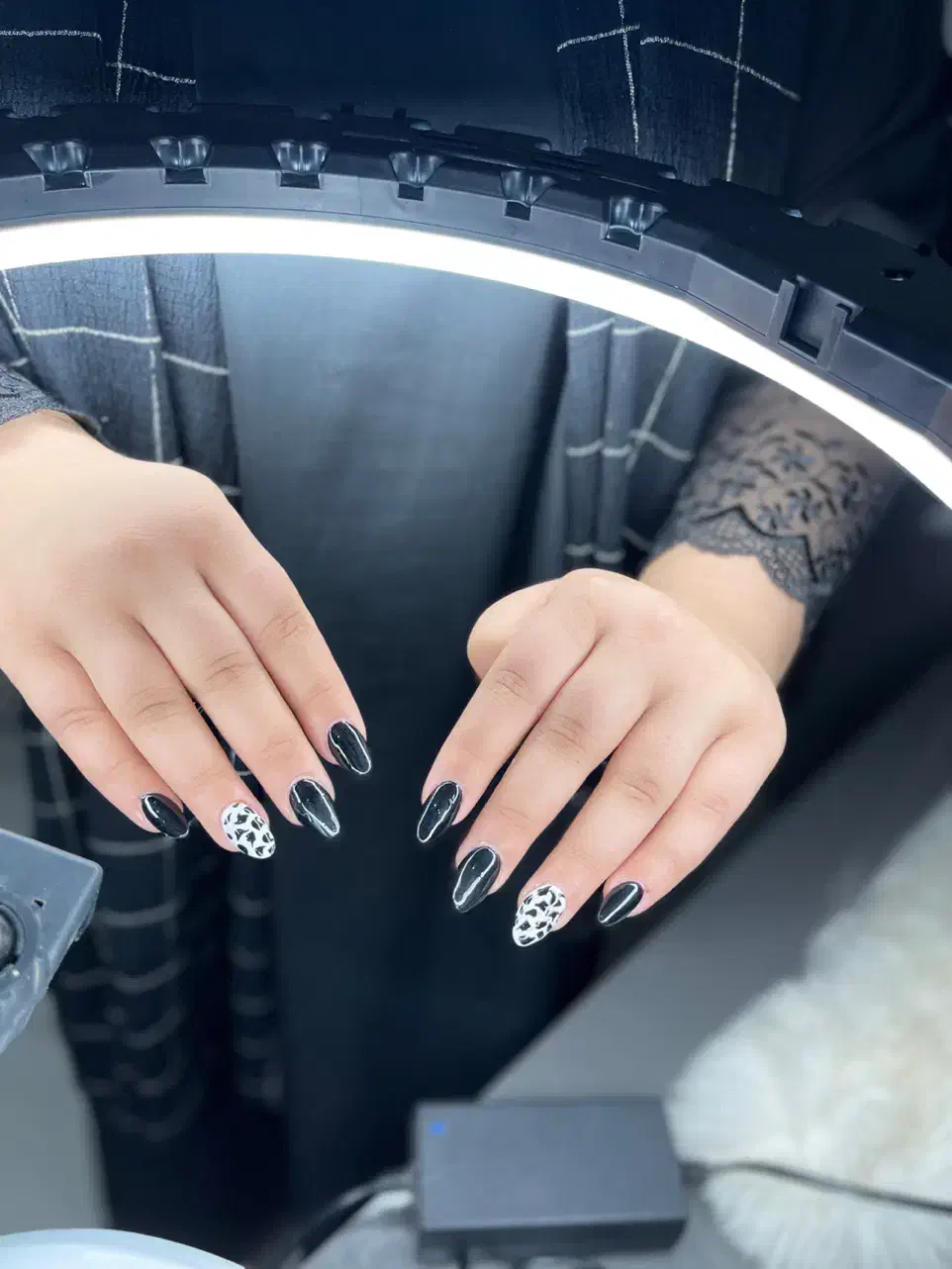 کاشت ناخن|خدمات آرایشگری و زیبایی|تربت جام, پاسداران|دیوار