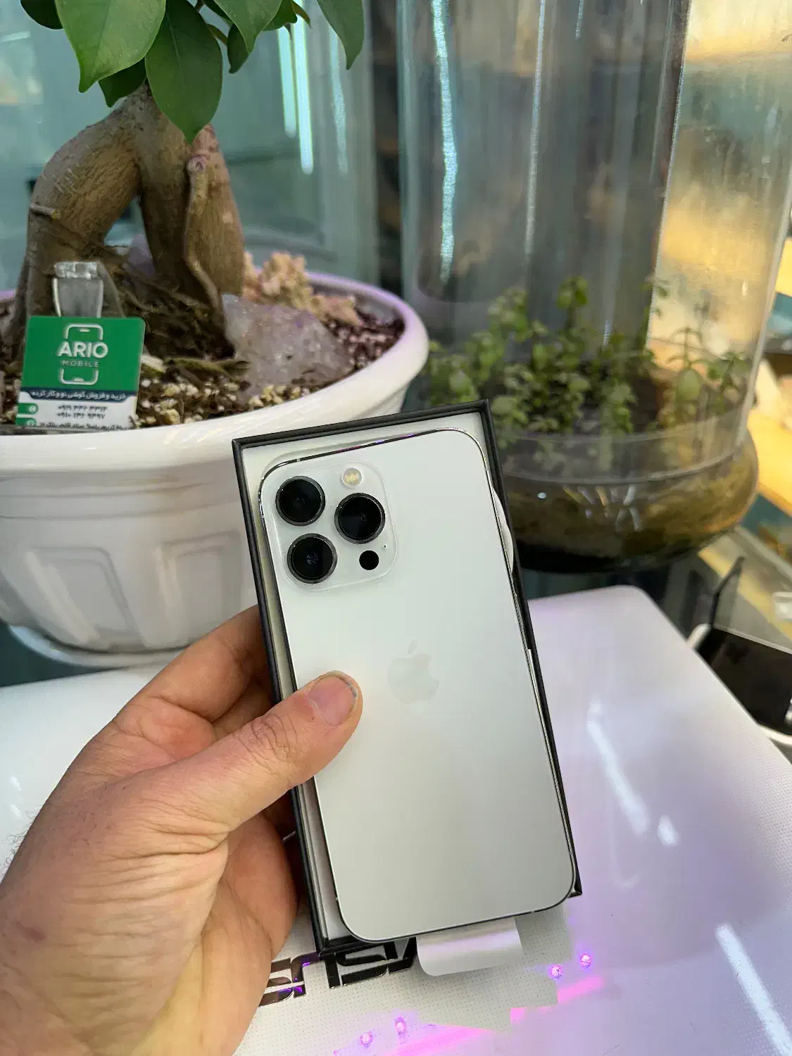 13 pro در حد صفر بدون خش|موبایل|رباط‌کریم, رباط‌کریم|دیوار