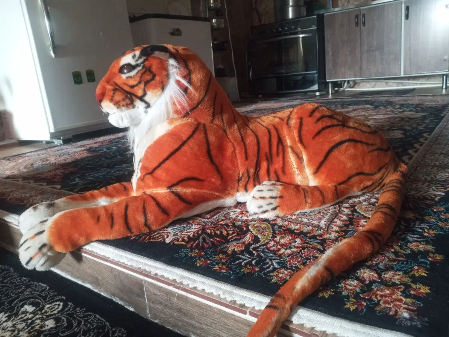 ببر بزرگ|اسباب‌‌بازی|ایوان, |دیوار