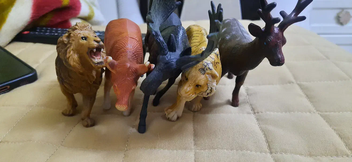 حیوون|اسباببازی|مشهد, آپارتمان های مرتفع|دیوار