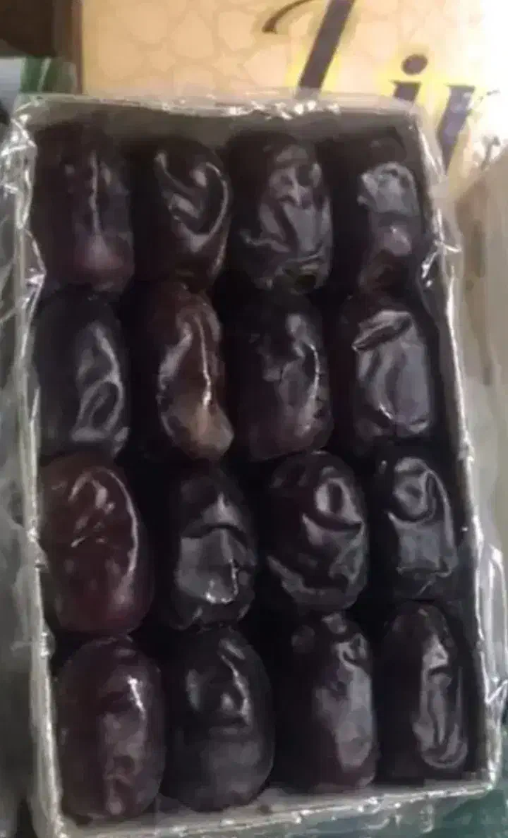 خرما|خوردنی و آشامیدنی|ریگان, |دیوار