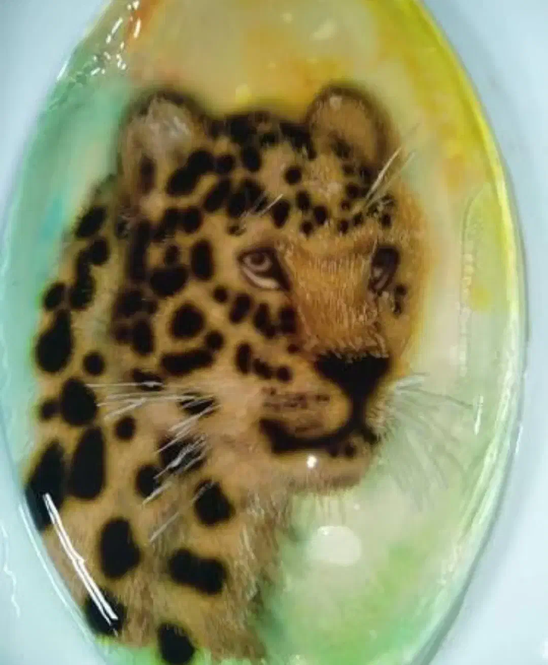 آموزش ژله تزریقی همراه با ساخت ابزار|خدمات آموزشی|فردیس, شهرک راه آهن|دیوار