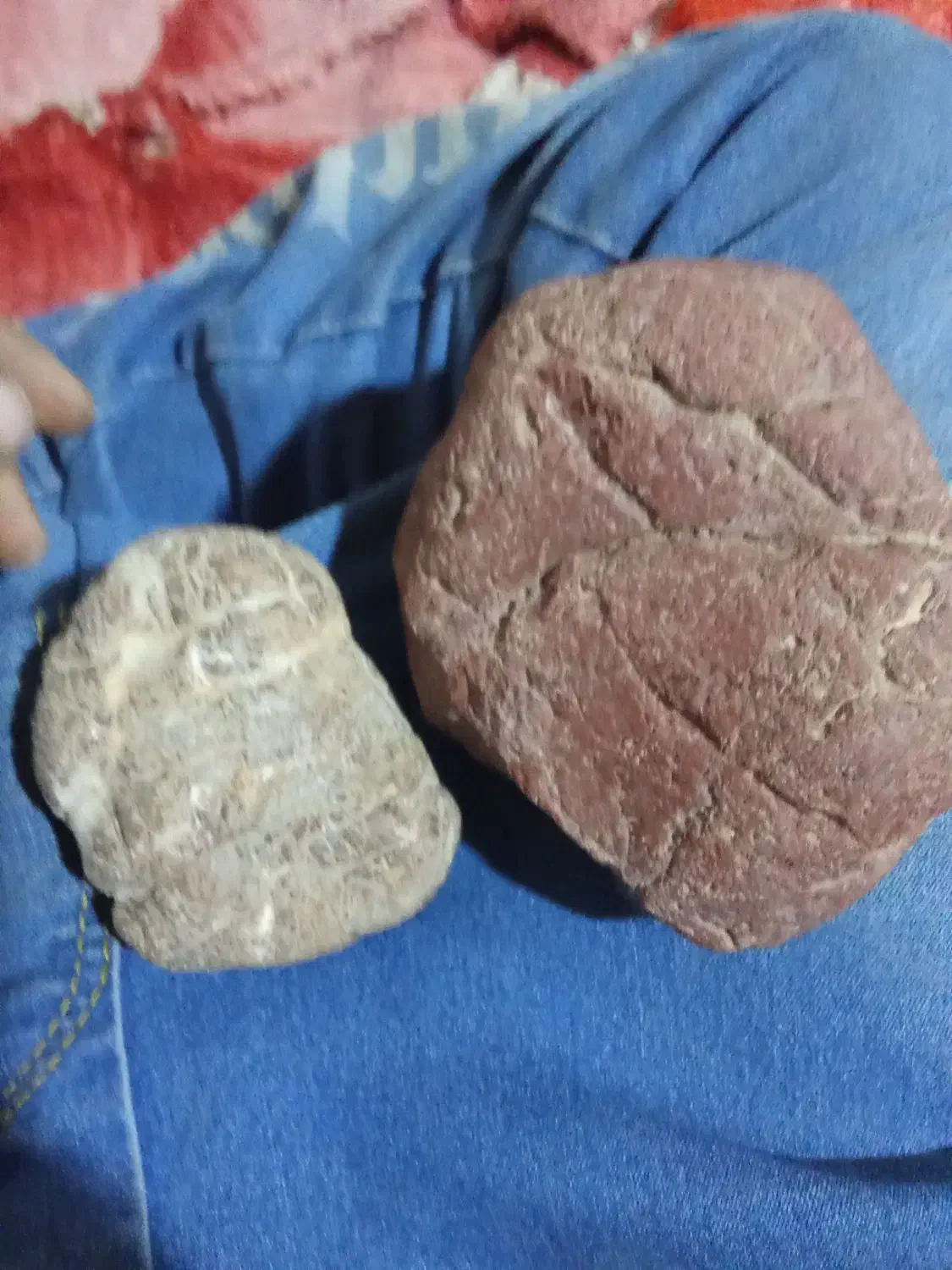 دو عدد شهاب سنگ|کلکسیون اشیاء عتیقه|حمیل, |دیوار