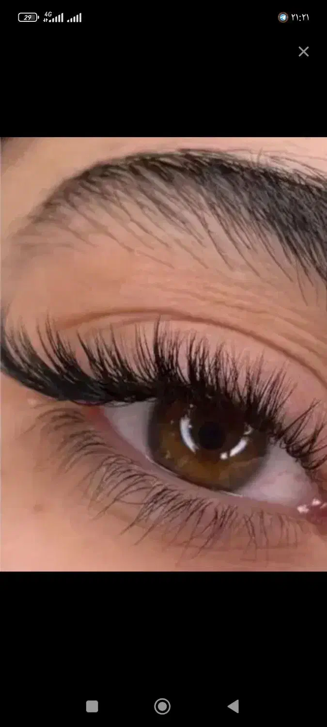 کاشت و اکستنشن مژه|خدمات آرایشگری و زیبایی|مشهد, نوید|دیوار