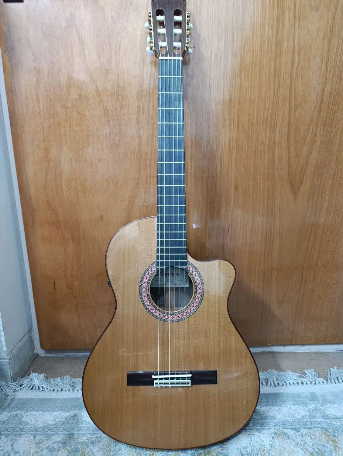 گیتار آلمانزا و گودین کنسرتی|گیتار، بیس، امپلیفایر|کرمان, |دیوار