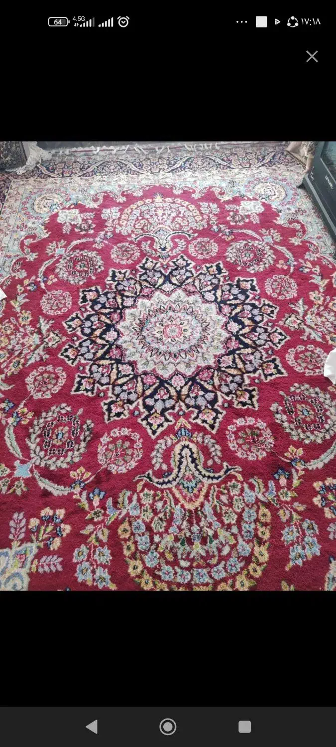 فرش دستباف|فرش|رفسنجان, |دیوار