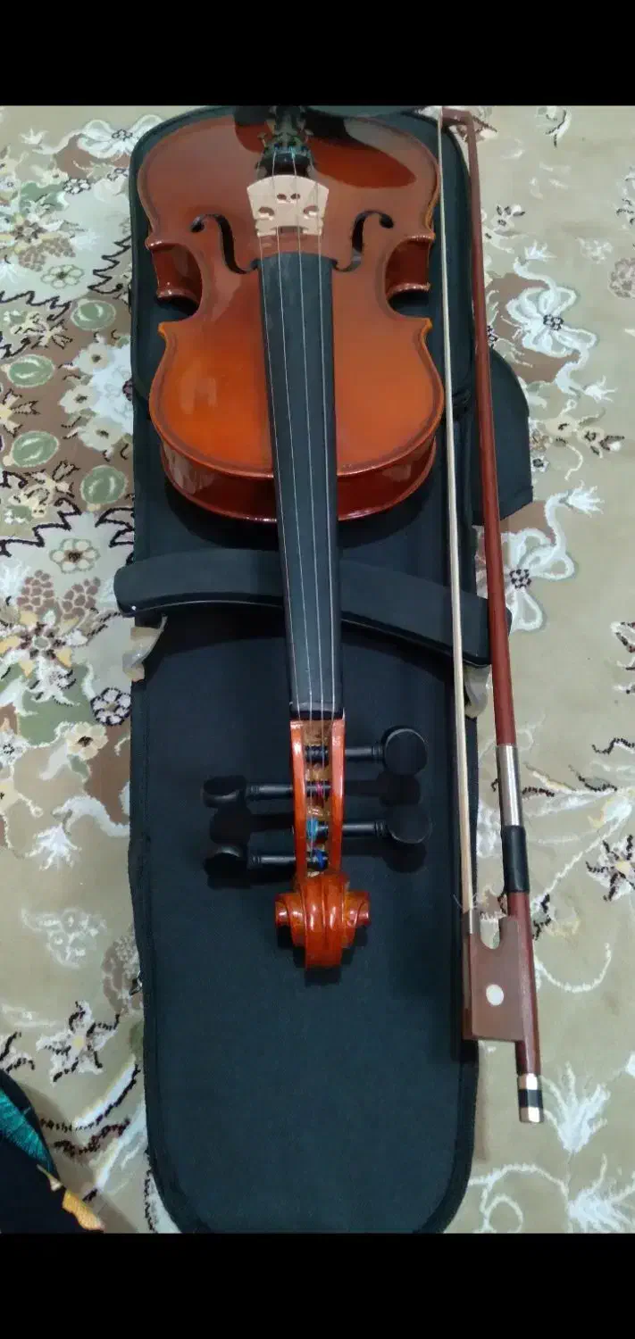 ویولون|ویولن|ملارد, |دیوار