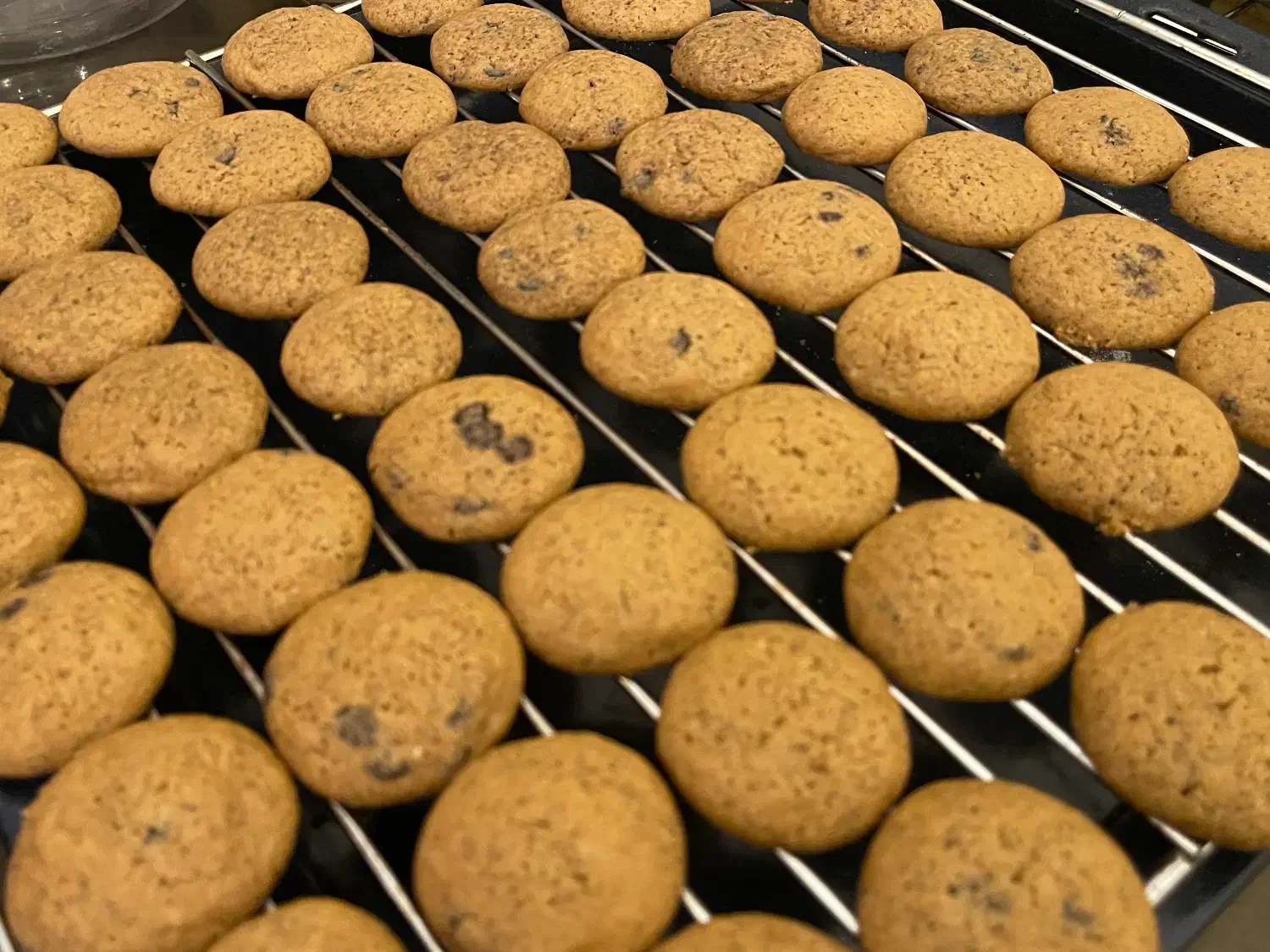 انواع مینی کوکی|خوردنی و آشامیدنی|تهران, محمودیه|دیوار