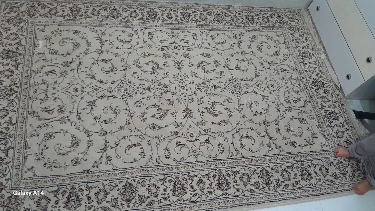 فرش ۴متری تمیز|فرش|محلات, |دیوار