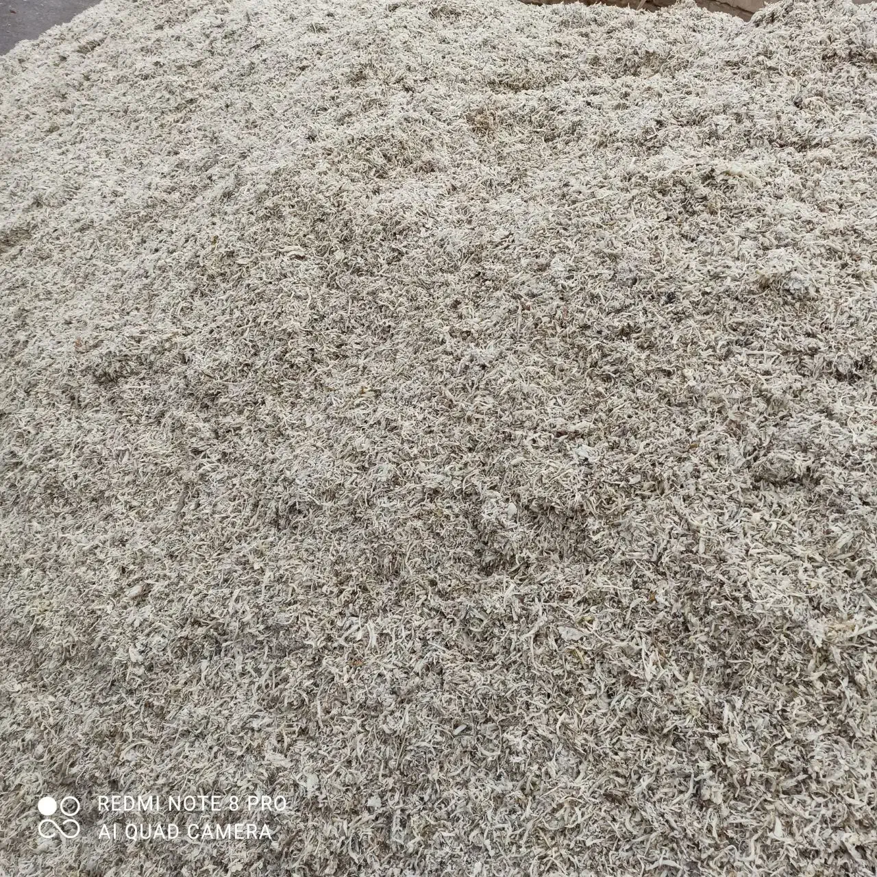 فروش تفاله چغندر به قیمت تعاونی تحویل درب|عمده‌فروشی|هشترود, |دیوار