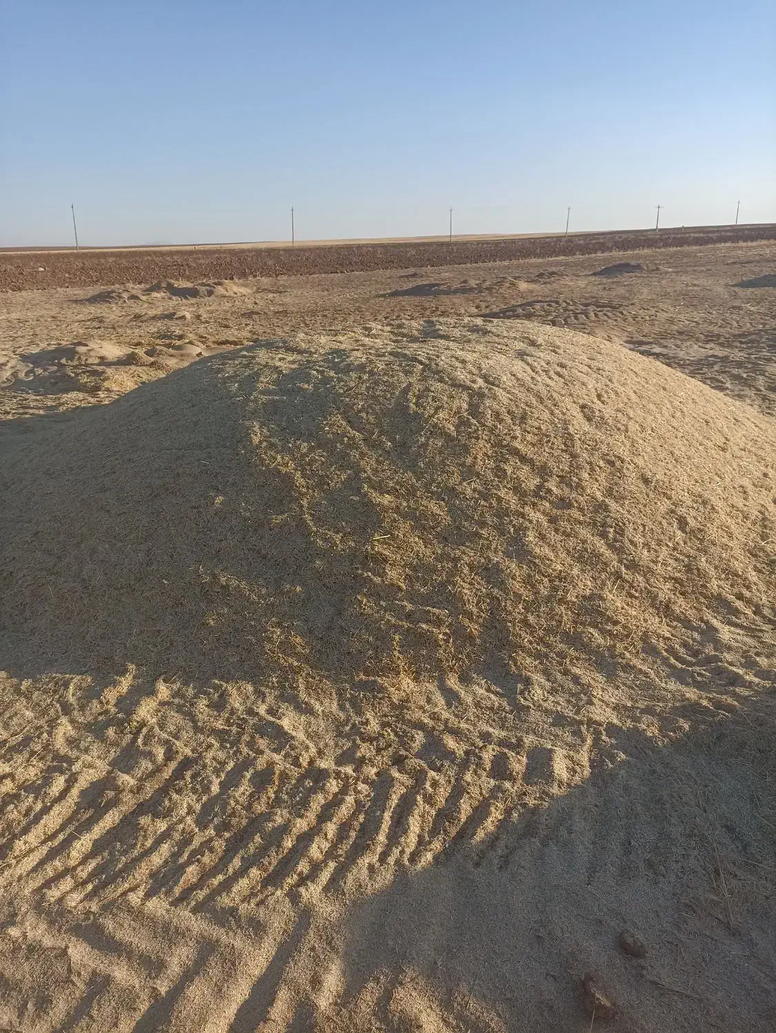 کاه گندم|عمدهفروشی|افشار, |دیوار