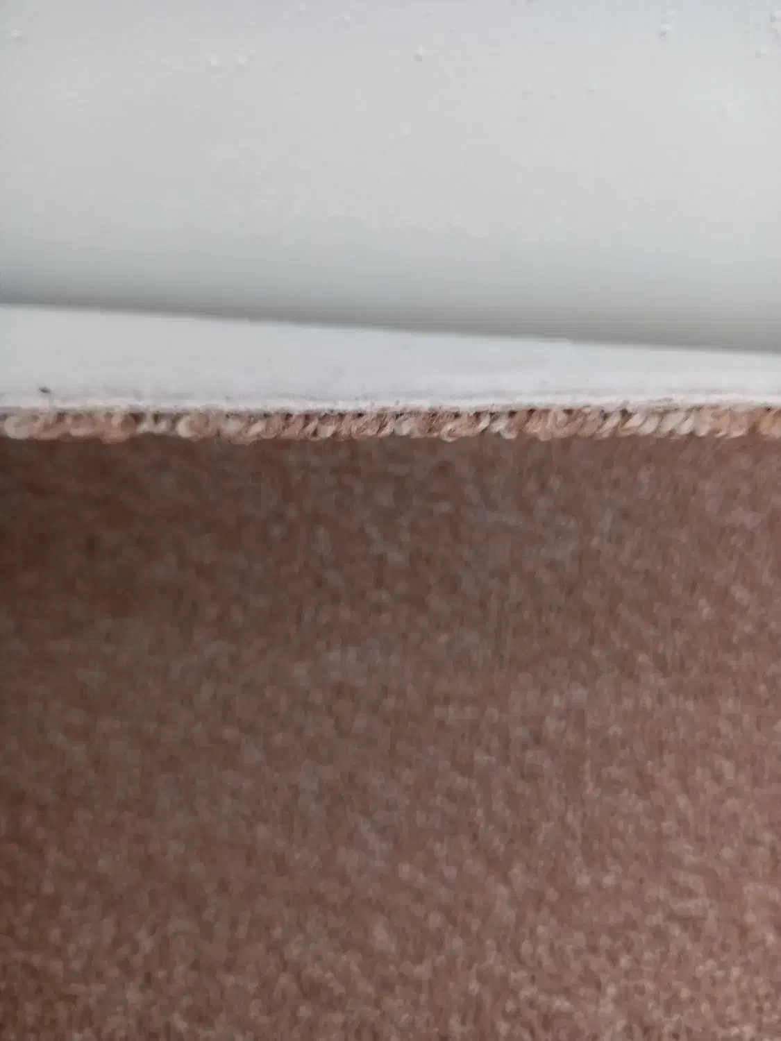 پالاز موکت ۲۰ متر|موکت|ارومیه, |دیوار