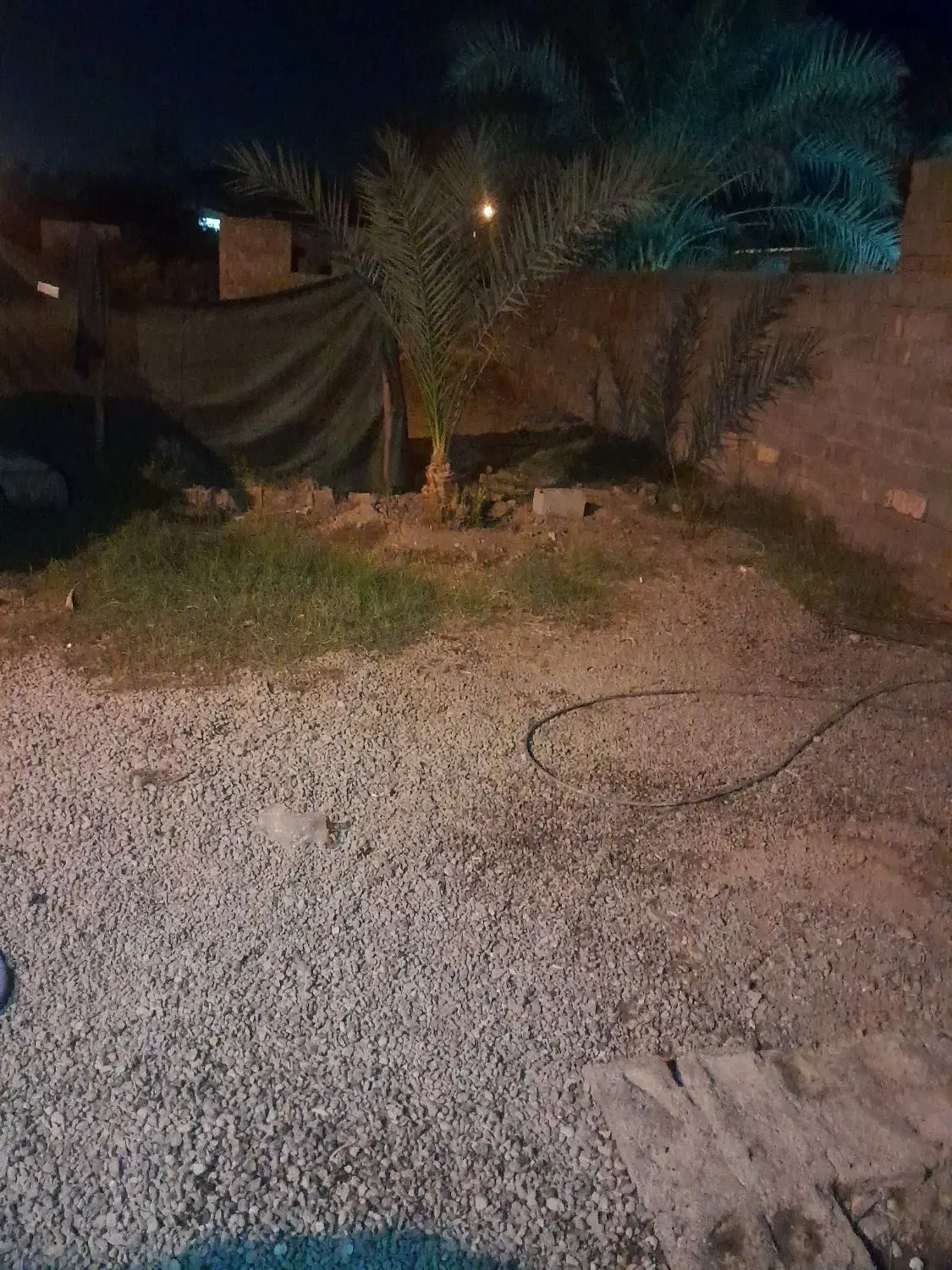 معاوضه پول با  پیکان وانت|خودرو سواری و وانت|جیرفت, |دیوار