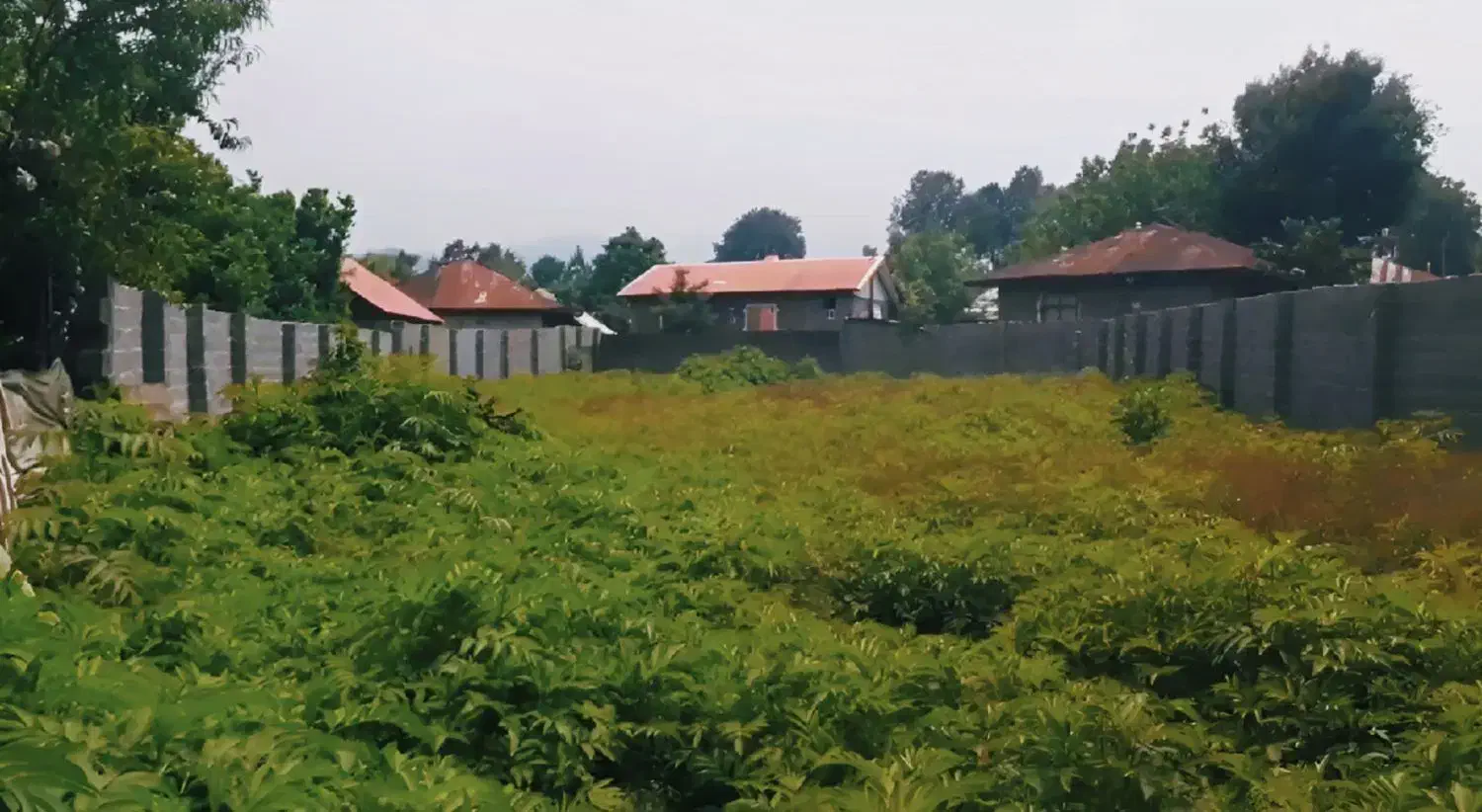 ۸۶۰ متر مسکونی شفت شالماء|فروش زمین و ملک کلنگی|احمدسرگوراب, |دیوار