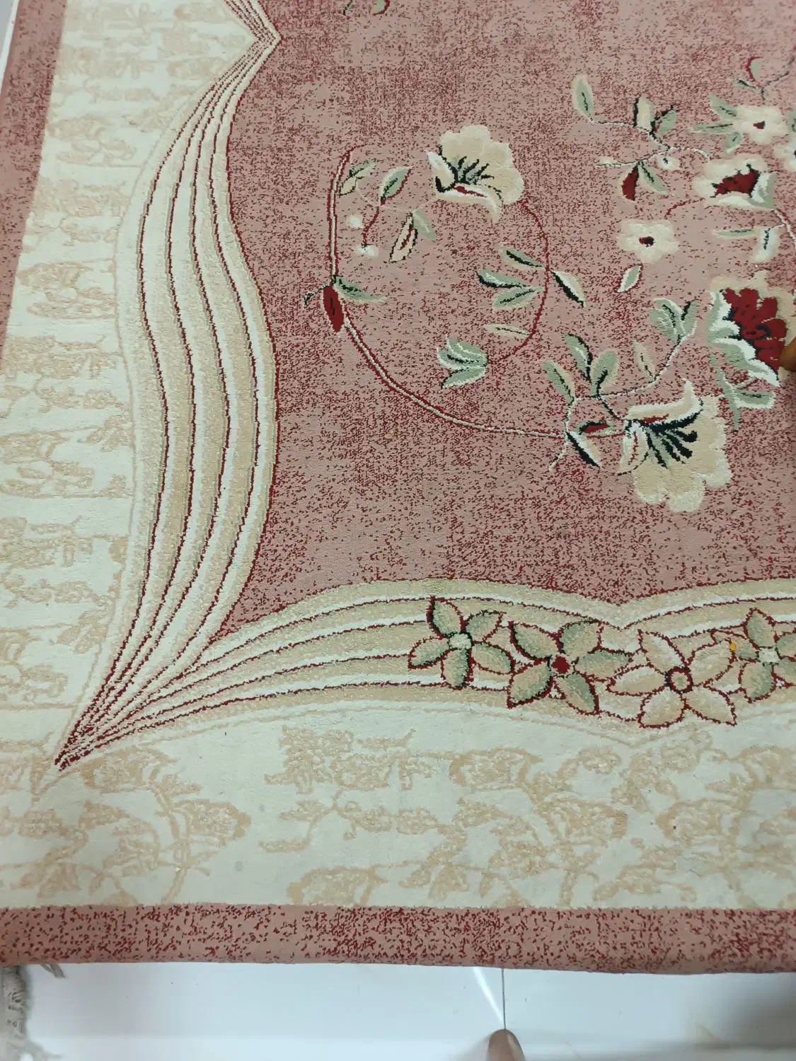 فرش قالی شش متری 6|فرش|اصفهان, جلالیه|دیوار