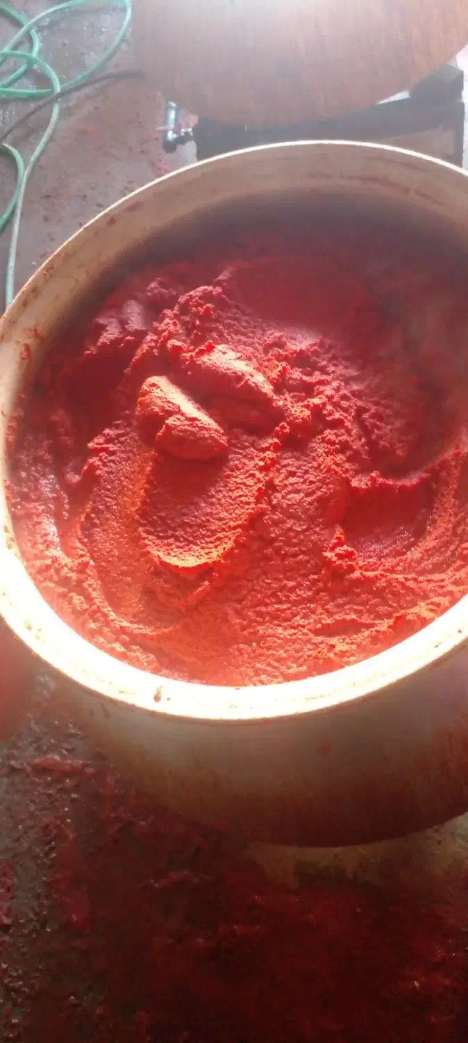 رب تازه خانگی مشگین شهر|خوردنی و آشامیدنی|مشگین شهر, |دیوار