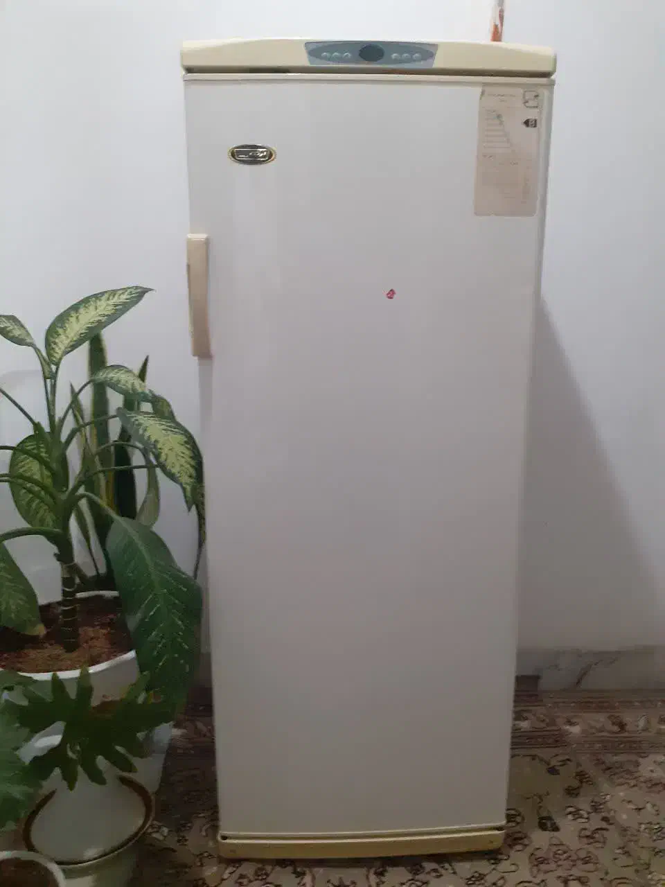 یخچال ارج|یخچال و فریزر|مشهد, فتح المبین|دیوار