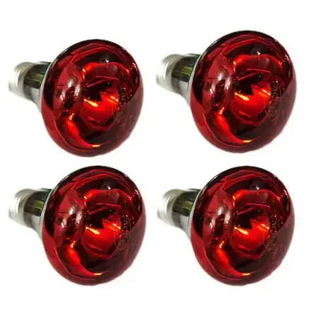 لامپ مادون قرمز ۴۰و۶۰و۱۰۰وات|لوازم جانبی حیوانات|رشت, منظریه|دیوار