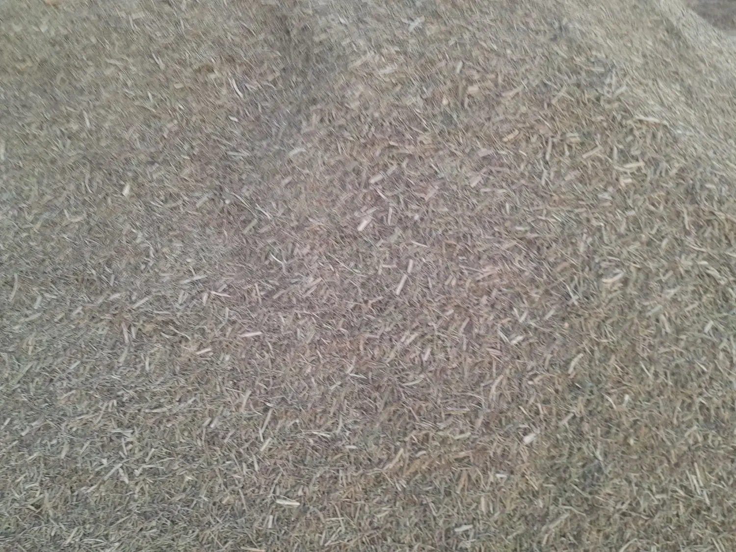 خار فروشی|لوازم جانبی حیوانات|تربت‌حیدریه, بازار|دیوار