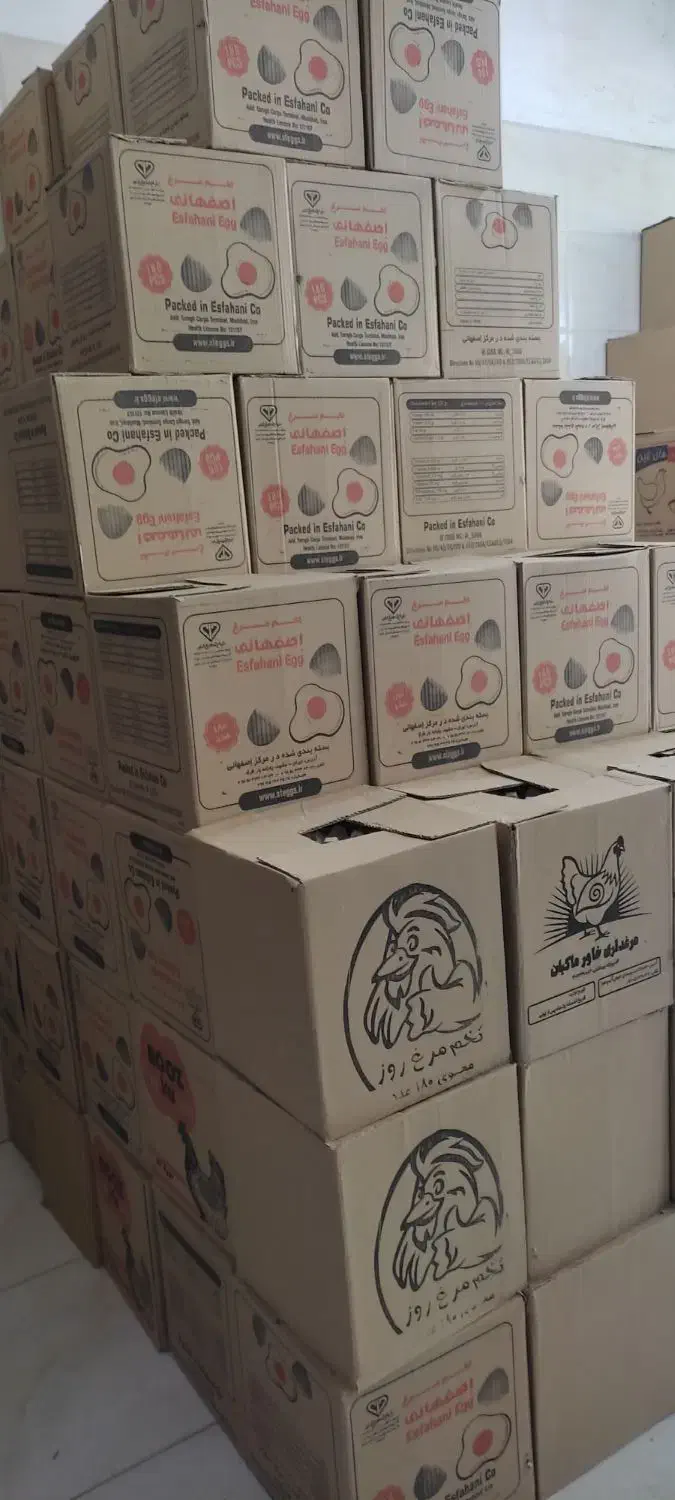 پخش و توزیع تخم مرغ|خوردنی و آشامیدنی|مشهد, گلبرگ شمالی|دیوار