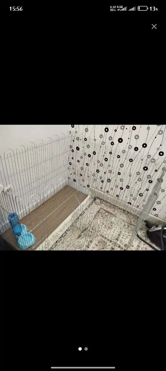 وسایل حیوانات|لوازم جانبی حیوانات|چناران, |دیوار