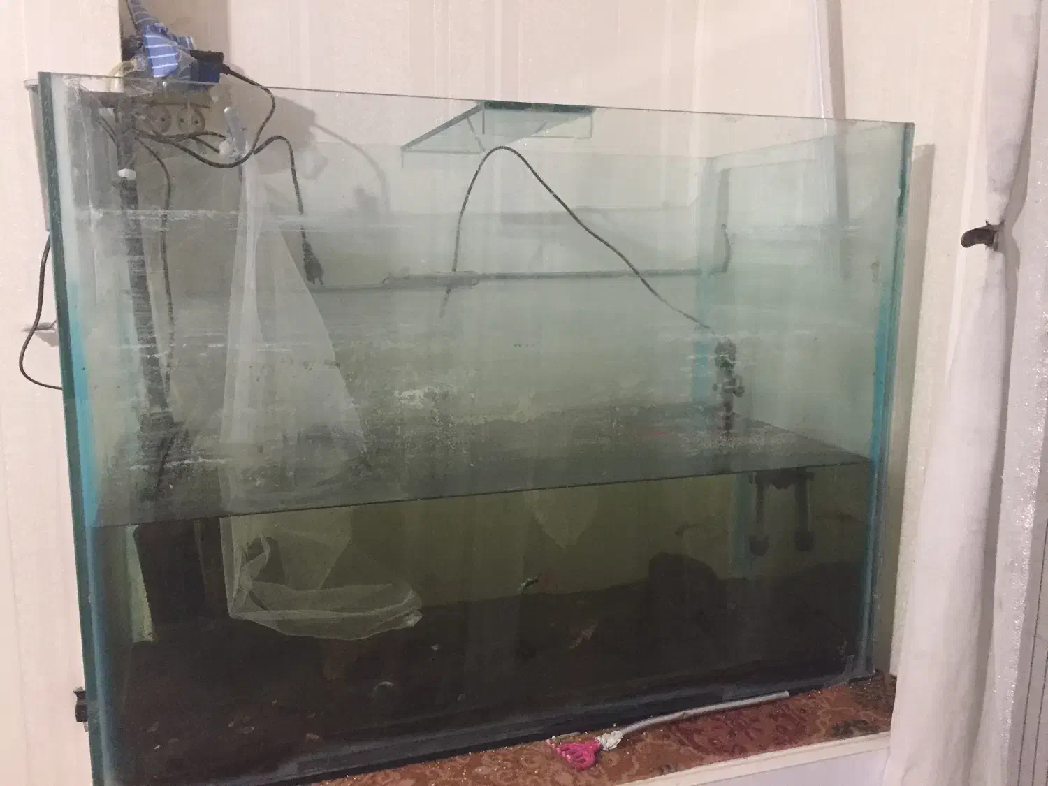 اکواریوم|ماهی|اسفراین, |دیوار