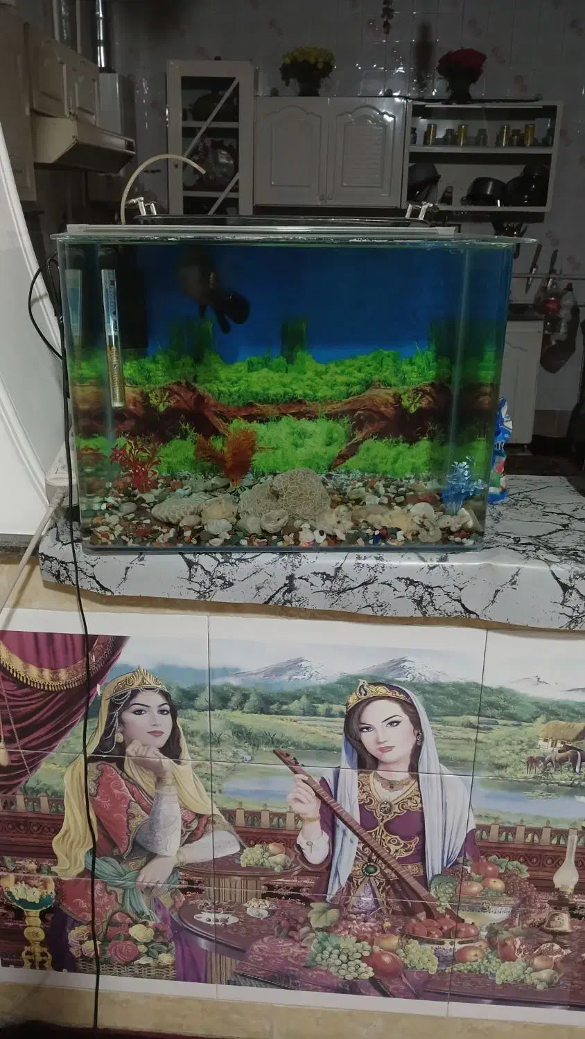 اکواریوم|ماهی|مرودشت, نقش رستم|دیوار