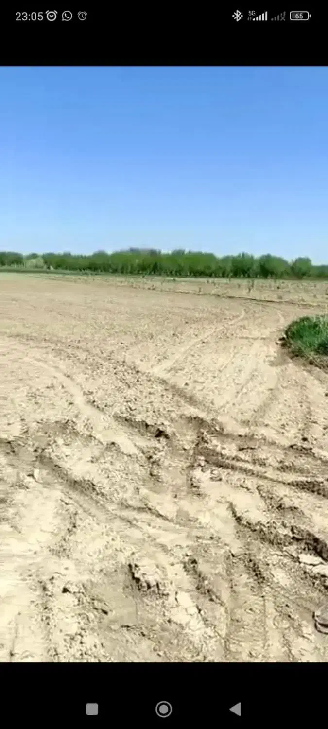 اجاره زمین کشاورزی در جاده سرچم|اجارهٔ دفتر صنعتی، کشاورزی، تجاری|میاندوآب, |دیوار