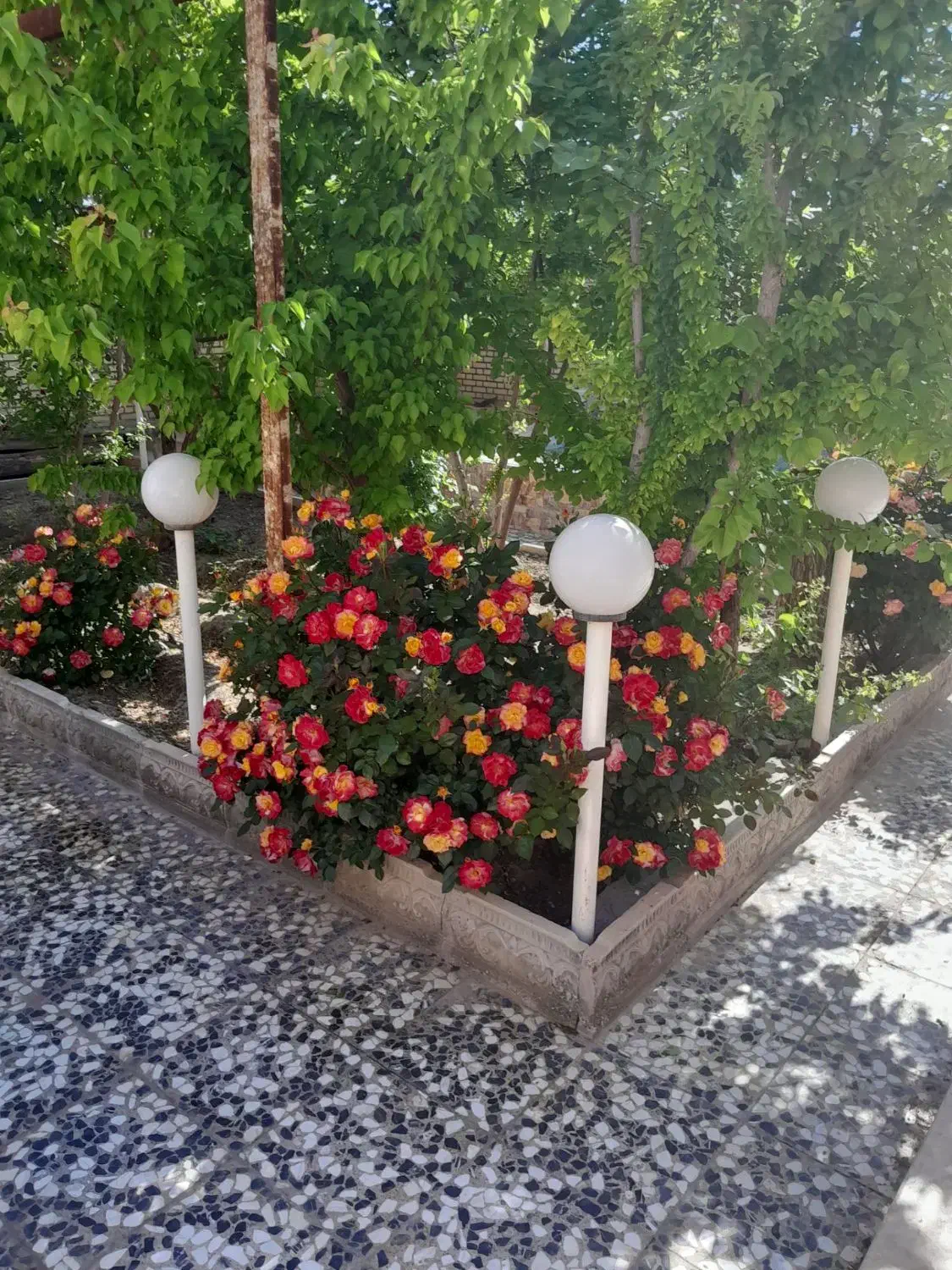 فروش منزل ویلایی|فروش خانه و ویلا|سیستان, |دیوار