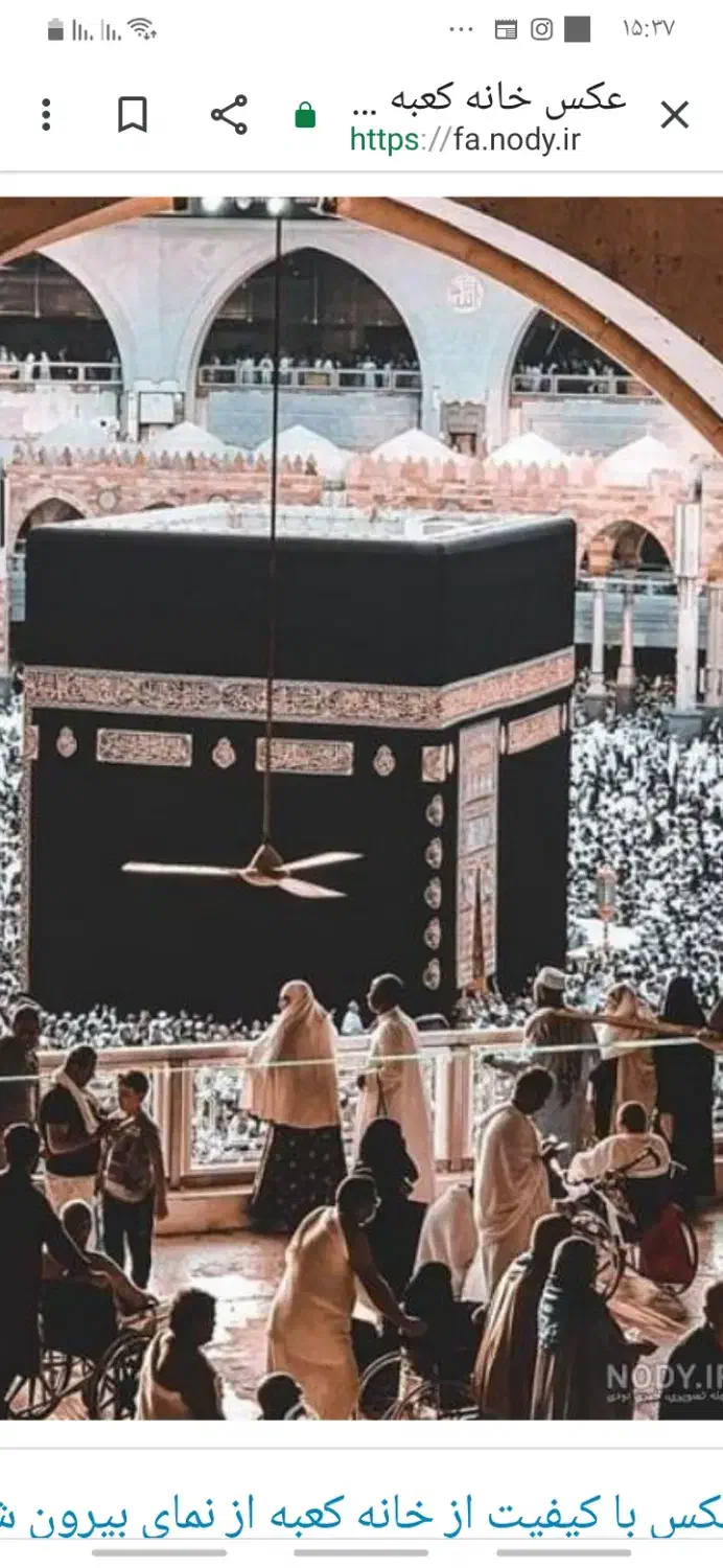 فروش فیش تمتع|تور و چارتر|وحیدیه, |دیوار