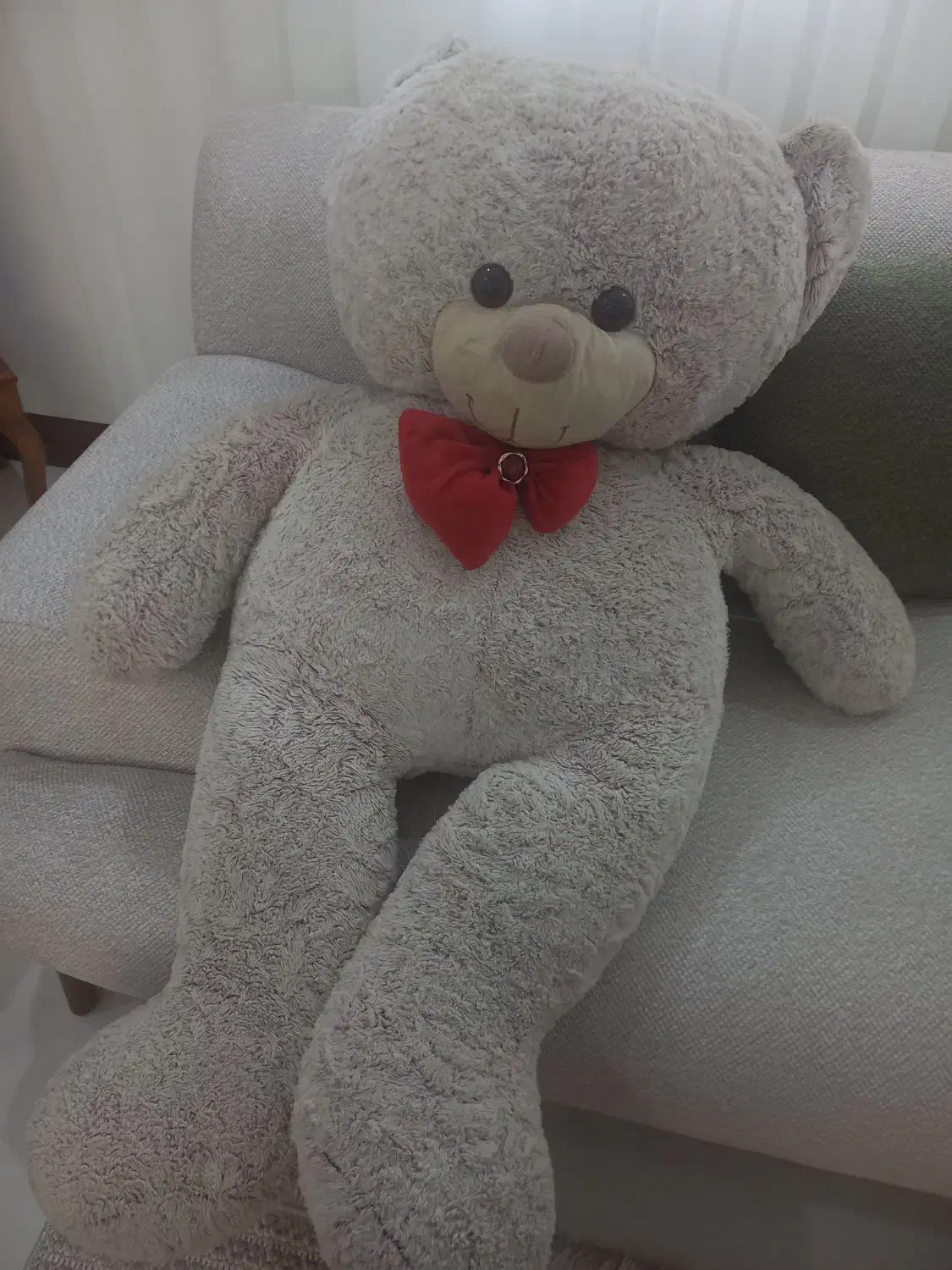 عروسک خرس زیبا|اسباب‌‌بازی|گرگان, |دیوار