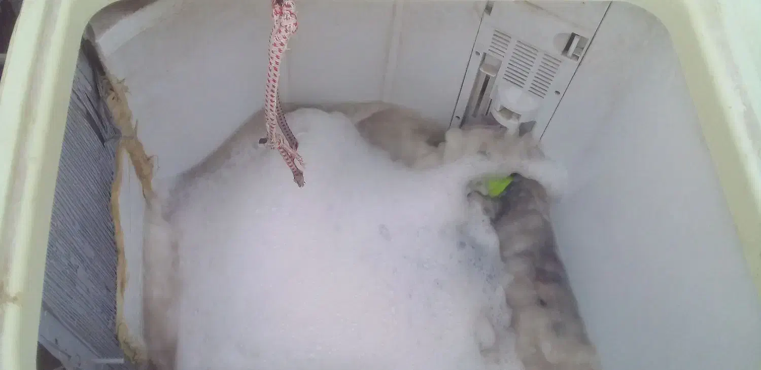 ماشین لباسشویی|ماشین لباسشویی و خشککن لباس|کرباسک, |دیوار