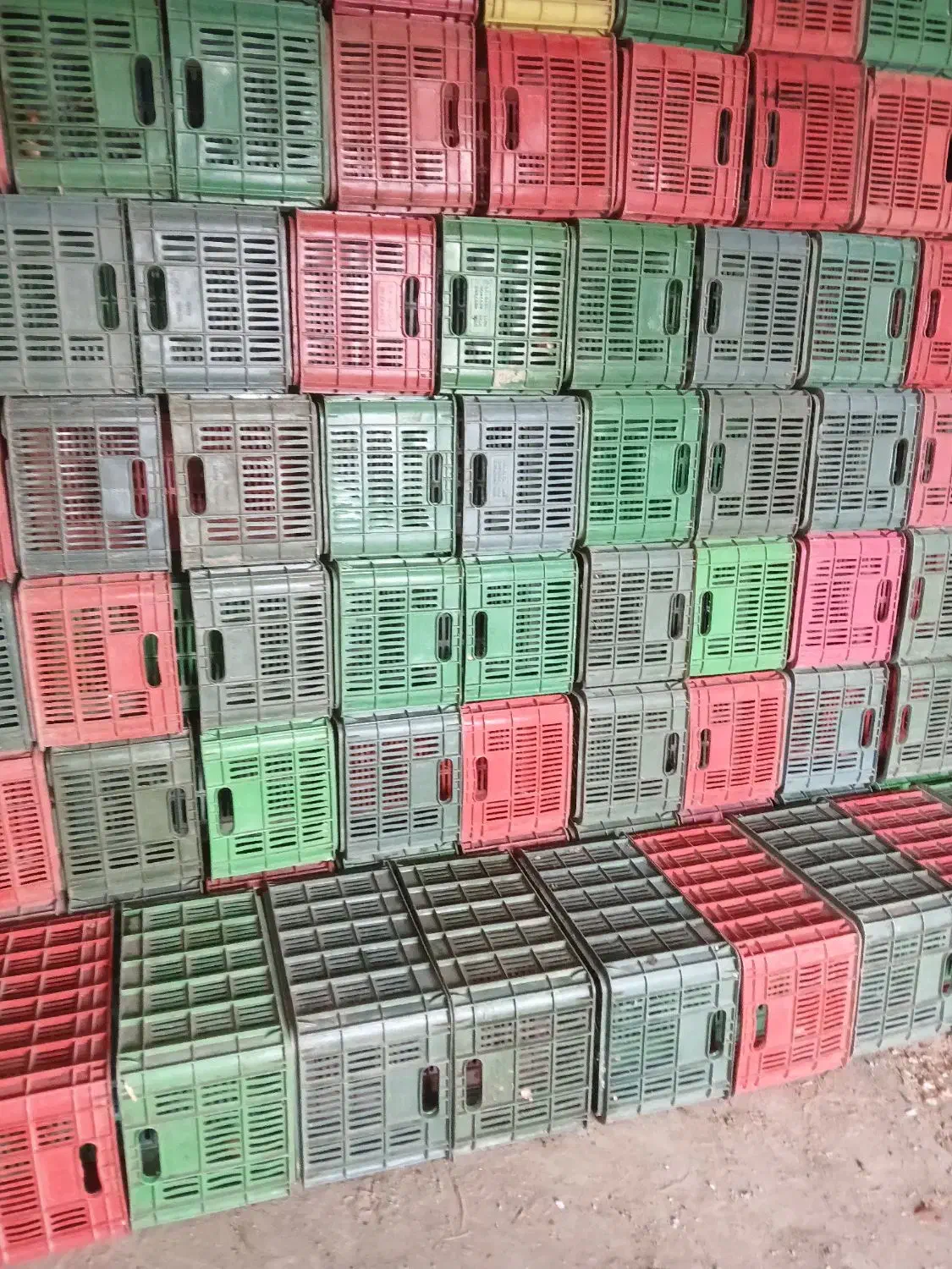 سبد گوجه وزن ۱۵۰۰|ظروف نگهدارنده، پلاستیکی، یک‌بارمصرف|زنجان, |دیوار