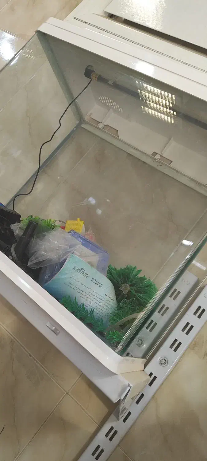 اکواریوم ماهی|ماهی|اصفهان, ارغوانیه|دیوار