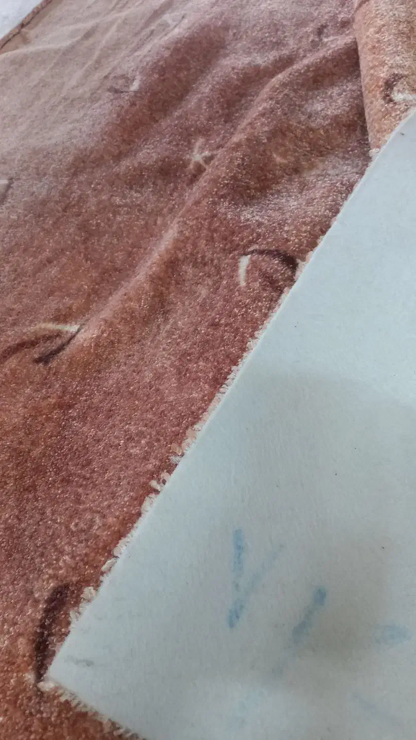 پالازموکت ۱۲متری پرزبلند|موکت|ورامین, ورامین|دیوار