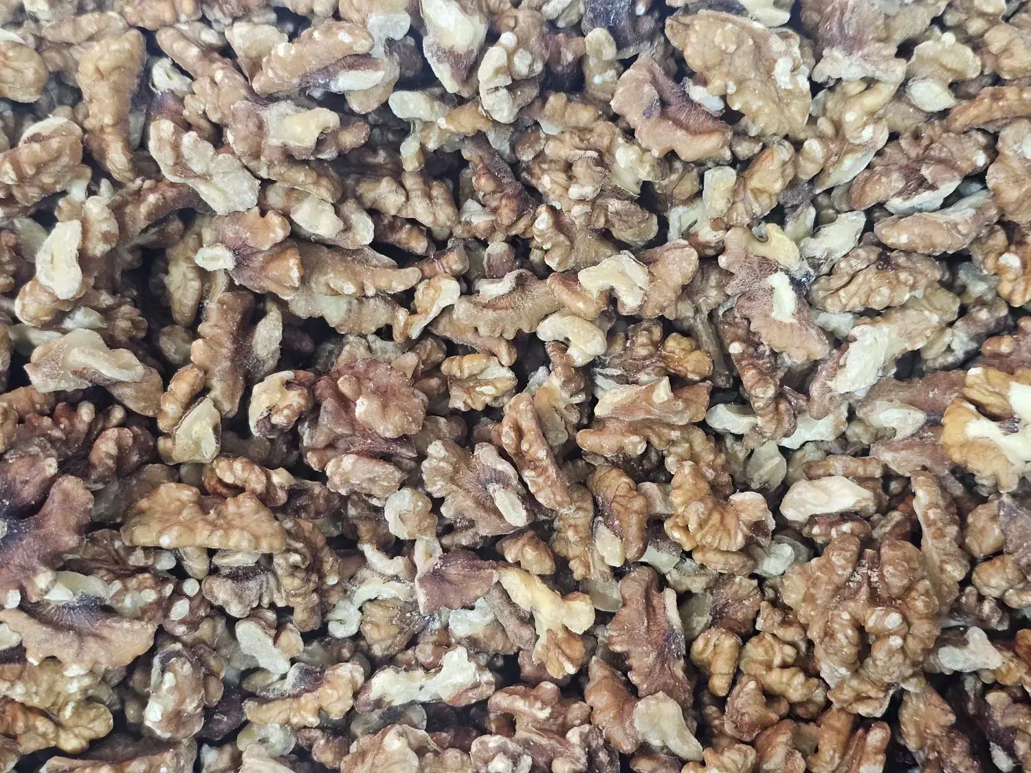 فروش ویژه گردو مغزه عمده|خوردنی و آشامیدنی|دلوار, |دیوار