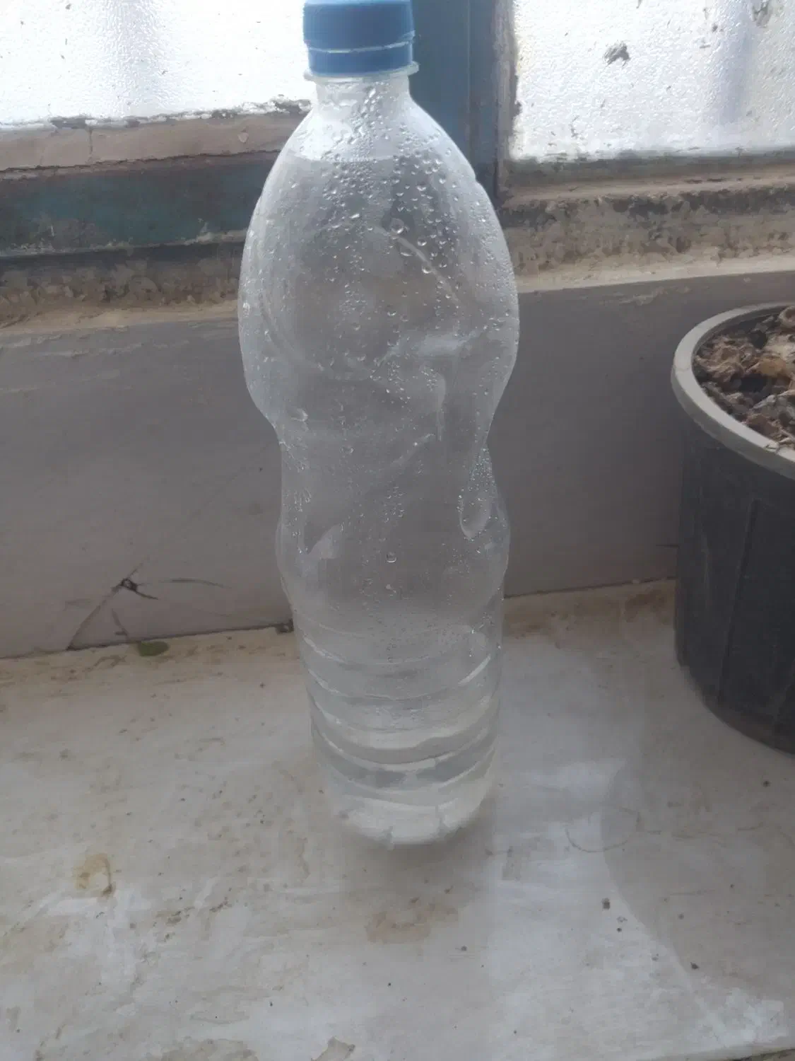 بطری نوشابه|ظروف نگهدارنده، پلاستیکی، یک‌بارمصرف|گزیک, |دیوار