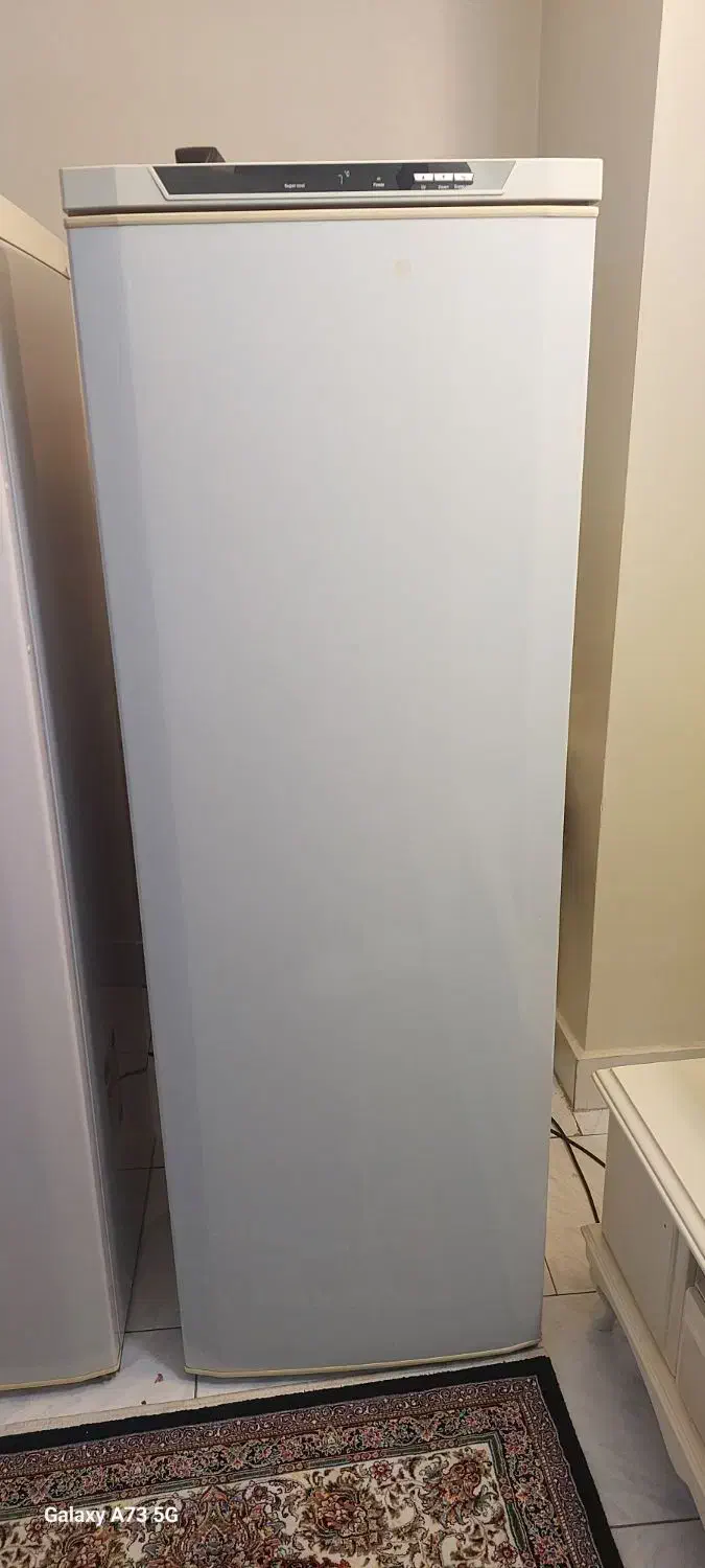 یخچال فریزر دوقلو وستینگ هاوس|یخچال و فریزر|ری, جوانمرد قصاب|دیوار