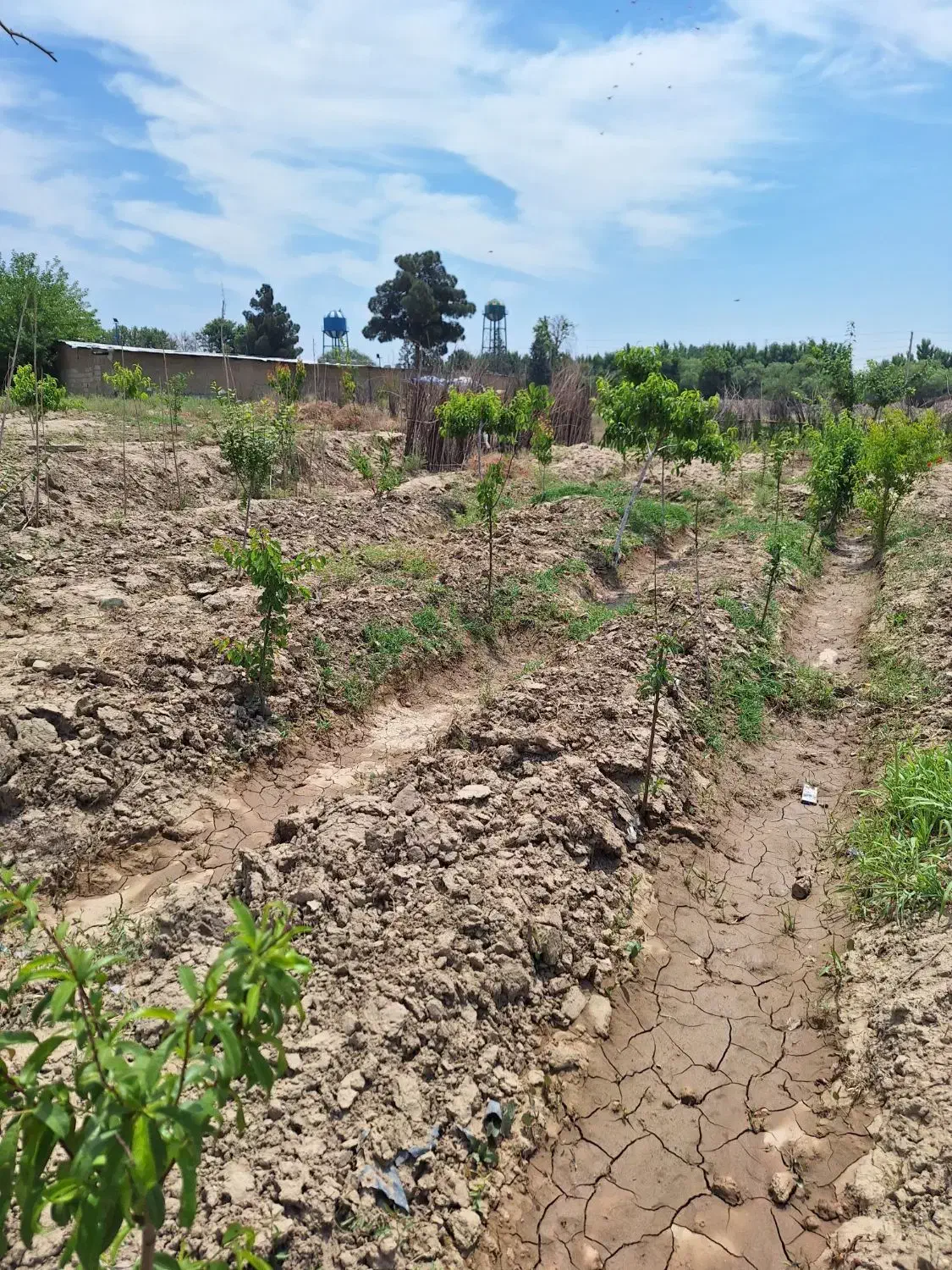 زمین ۳۰۰ متر فیروز بهرام|فروش زمین و ملک کلنگی|چهاردانگه (تهران), |دیوار