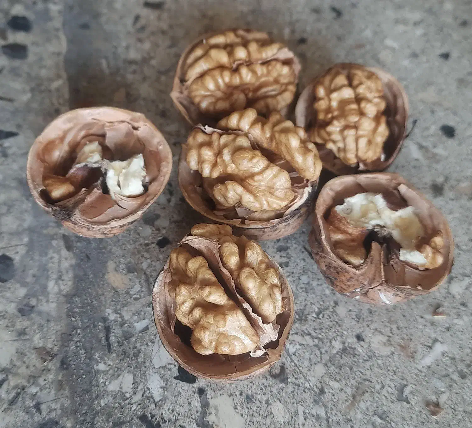 فروش عمده گردو خارجی|عمده‌فروشی|شیراز, شهرک فرهنگیان|دیوار