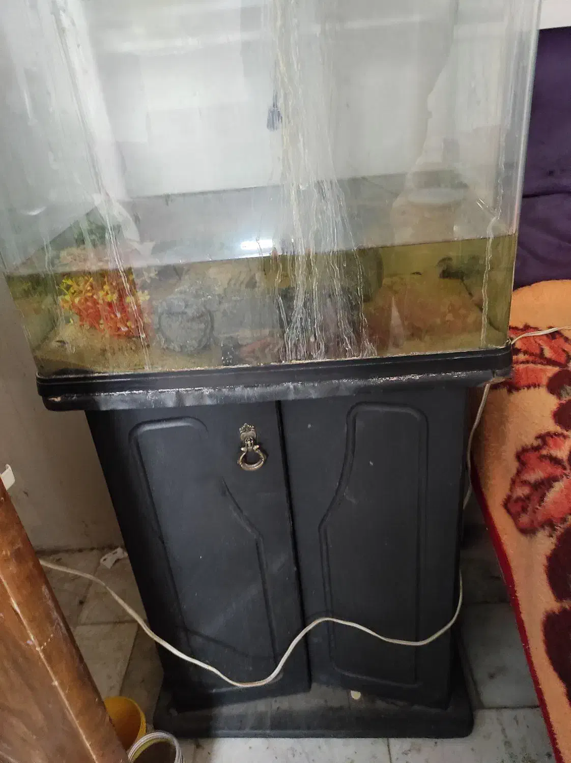 آکواریوم دلساk500|ماهی|اصفهان, گلزار|دیوار