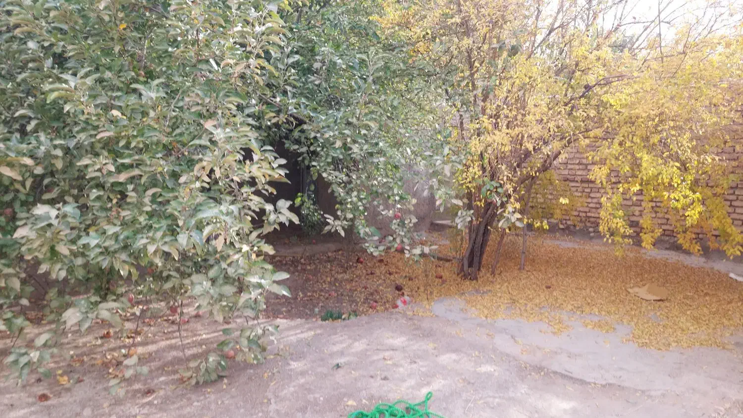 اجاره سوییت(حیاط دار) روزانه(ماهان)|اجارهٔ کوتاه‌مدت آپارتمان و سوئیت|ماهان, |دیوار