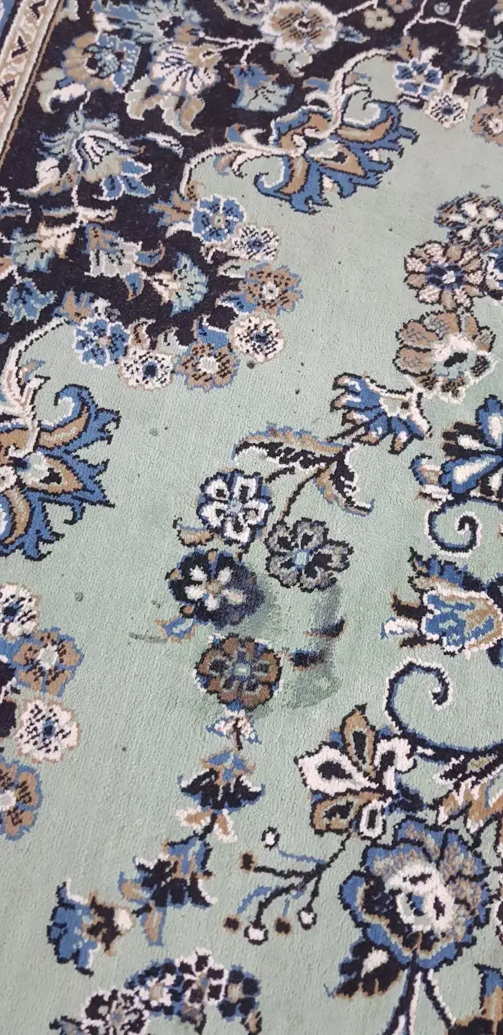 فرش|فرش|رودهن, |دیوار