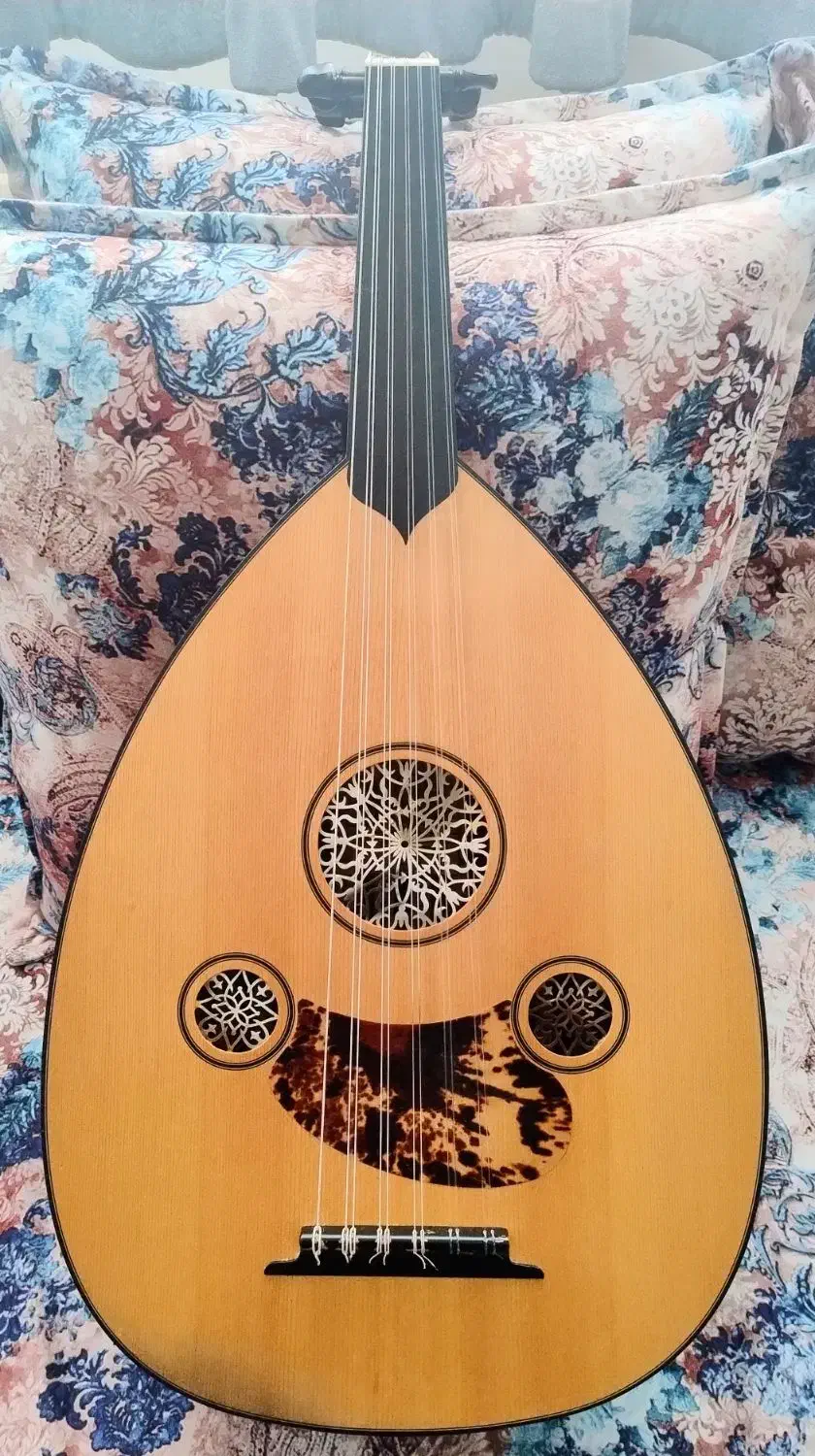 عود حرفهای ساخت علی نشادیر|سازهای سنتی|تهران, گلستان (شهرک راه آهن)|دیوار