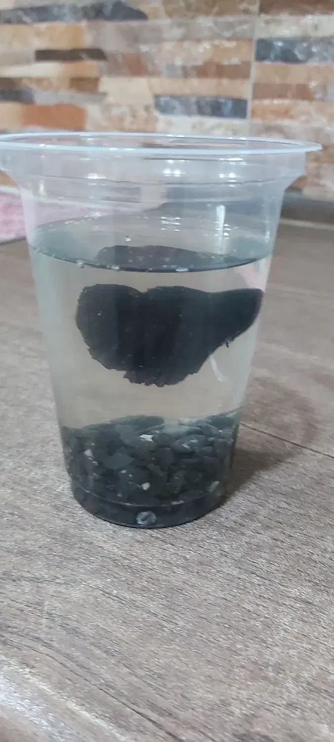 فایتر گرید(A)وارداتی|ماهی|اسلام‌شهر, شهرک مفیدی|دیوار