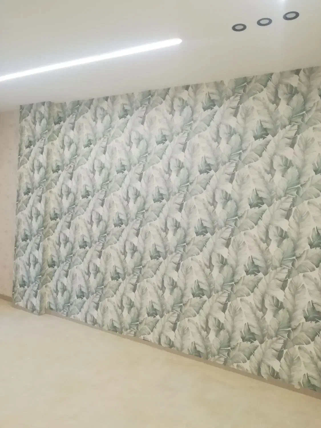 نصاب کاغذ دیواری|خدمات پیشه و مهارت|شیراز, تاچارا|دیوار