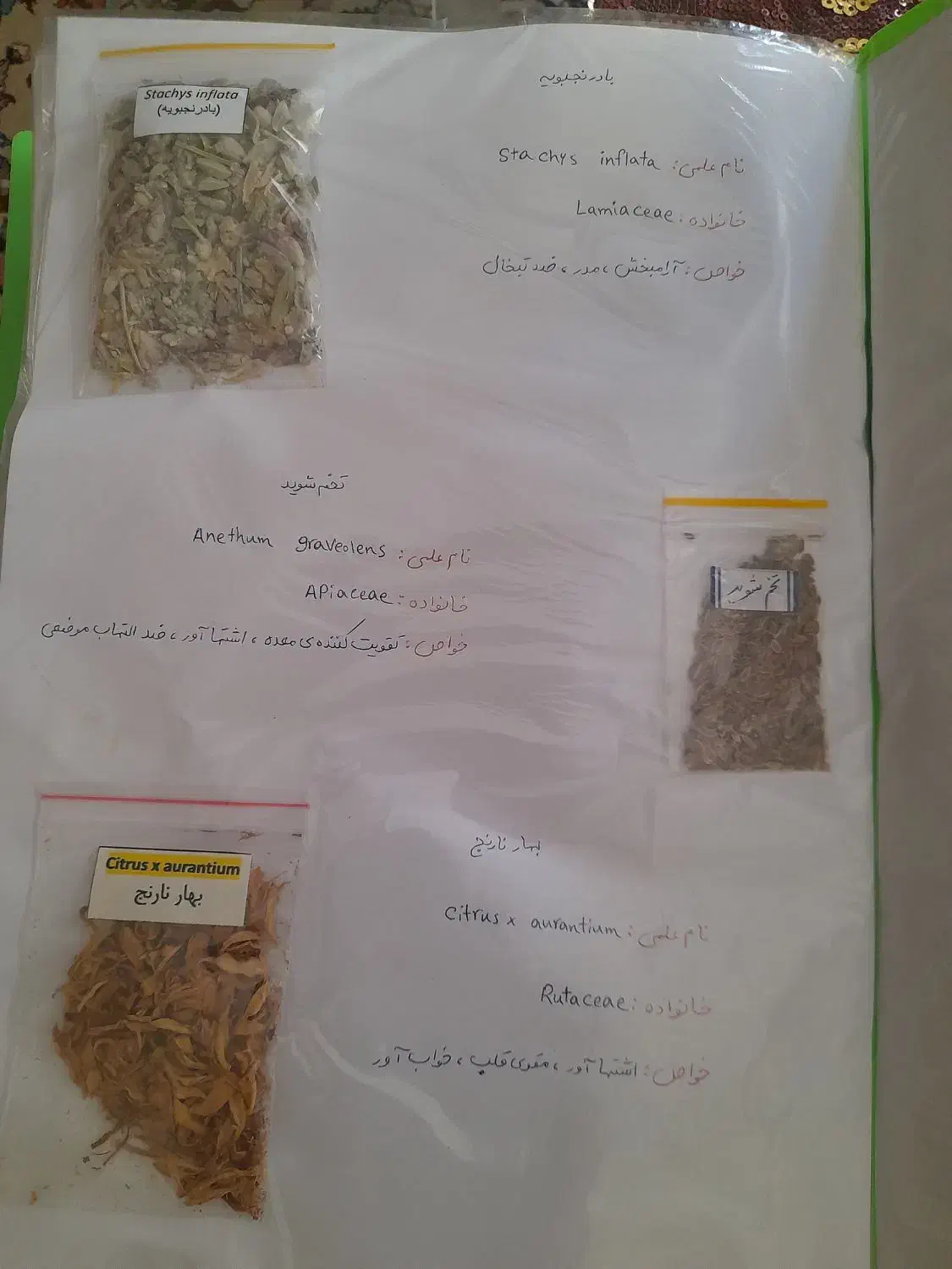 آلبوم کامل گیاهان دارویی|کتاب و مجله آموزشی|شیراز, قصرالدشت|دیوار