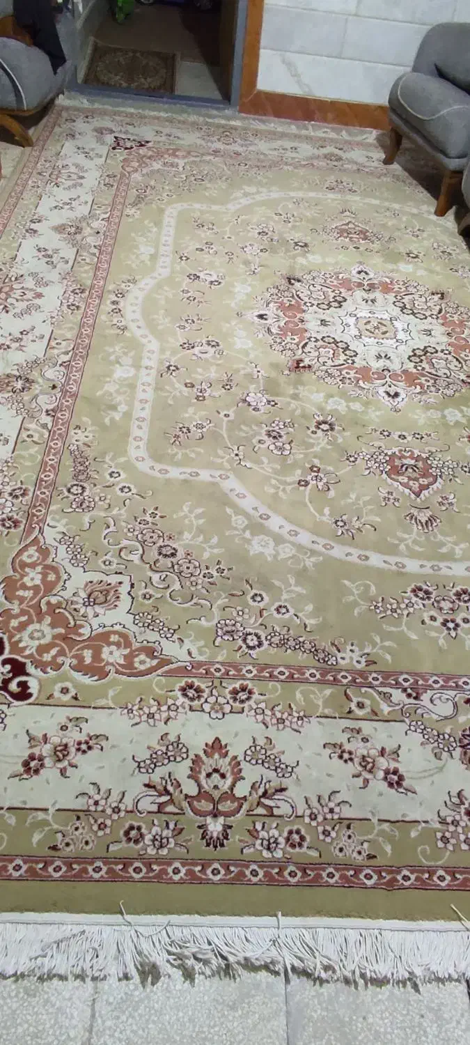 دوتخته فرش دوازده متری|فرش|سبزوار, علمدار|دیوار