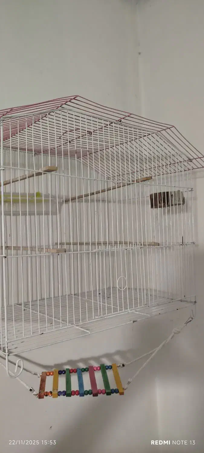 قفس بزرگ 52|لوازم جانبی حیوانات|شیراز, هفت تنان|دیوار